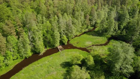 Drone-flying-over-small-swedish-forrest-and-small-brown-river