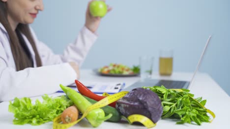 Ernährungsberater,-Der-Das-Diätprogramm-Zur-Gewichtsreduktion-Beschreibt.