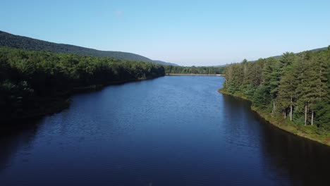 birds eye view over a rural forest and river water