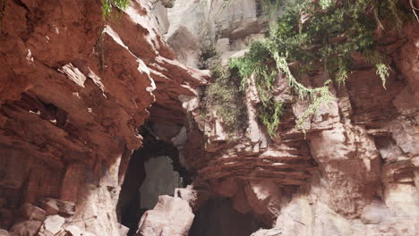 inside a limestone cave with plants and sun shine