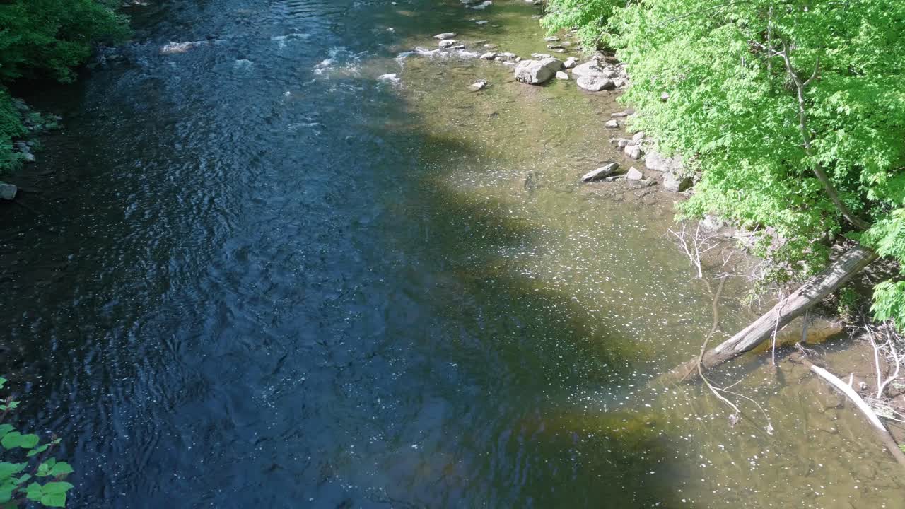 위사히콘 크릭의 나무 옆으로 잔잔한 물이 흐릅니다.