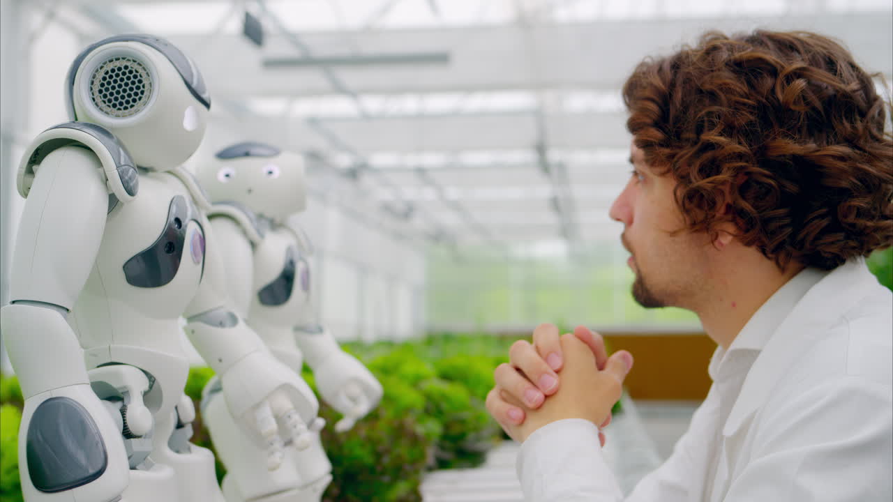 Laboratory technician in a white coat interacting with two humanoid robots near different types of lettuce in a greenhouse farm