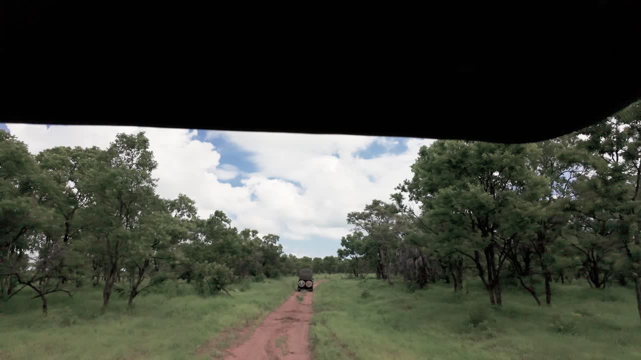 Exploring Mikumi National Park By Jeep In Tanzania. - POV shot
