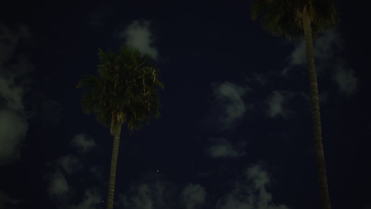 timelapse de 2 palmeras en la noche con un cielo nublado