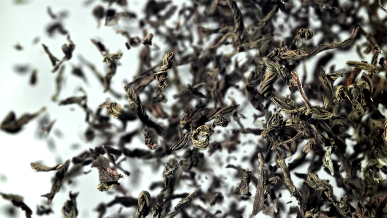 Close-up of Dry Tea Leaves Falling in Slow Motion on White Background