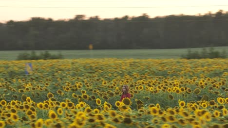 Drohnen-Parallaxenaufnahme-Eines-Jungen-Mädchens-Inmitten-Eines-Perfekten-Sonnenblumenfeldes