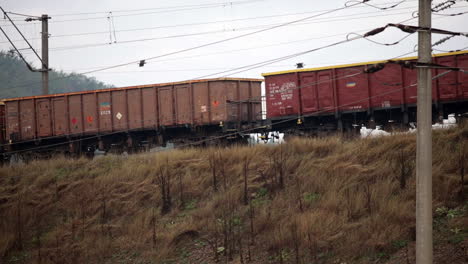 Tren-De-Carga-Rumano-Entra-En-La-Ciudad-2