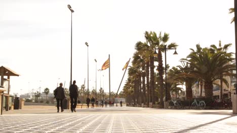 People-walking-down-promenade-esplanade-in-beautiful-valencia-spain-with-spanish-flag,-valencia-flag-and-palm-trees-flowing-in-wind