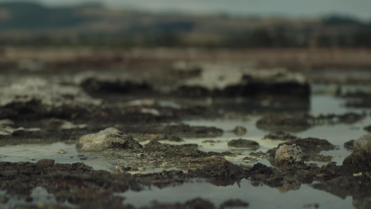 Close-up view of a muddy, rocky area with small pools of water and bubbles