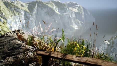 fresh grass at big rocky cliff in ocean