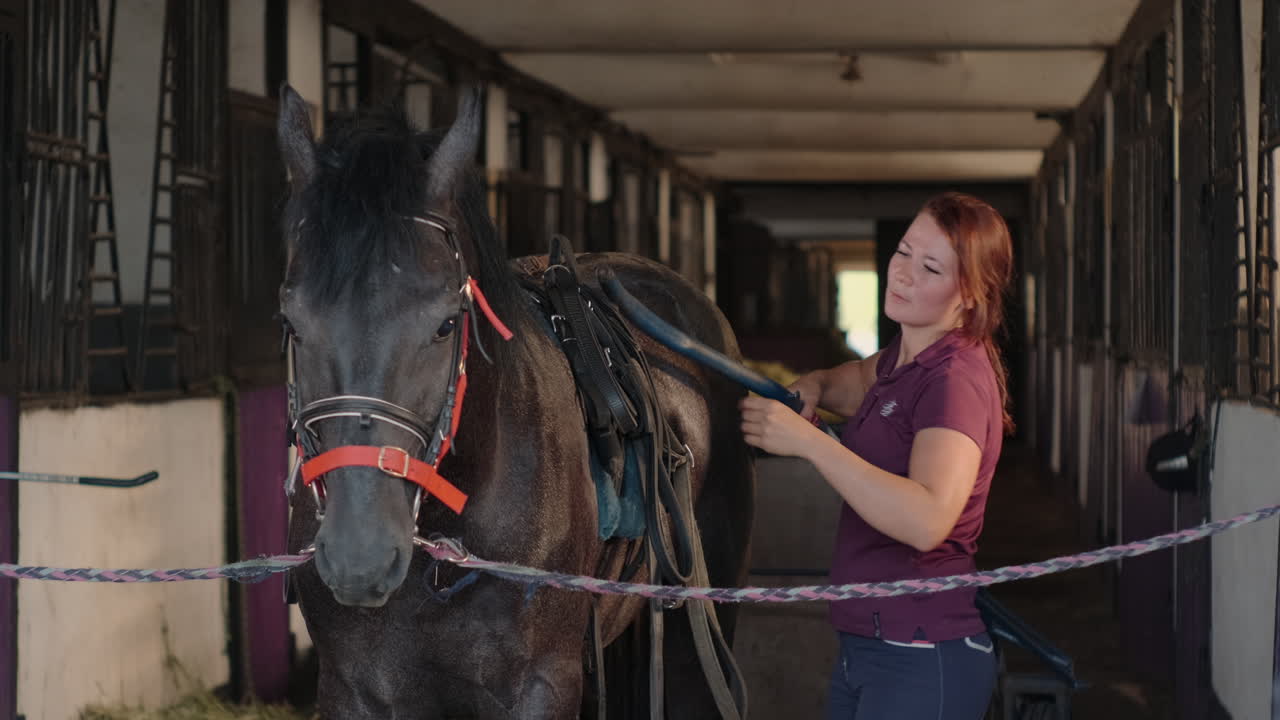 mujer preparando un caballo negro en un establo