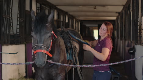 woman grooming a black horse in a stable