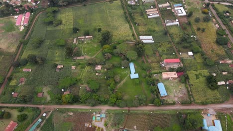 Drone-City-scape-of-Loitokitok-Kenya---March,-2021:-Loitokitok-maize-farm,-Loitokitok,-Kenya