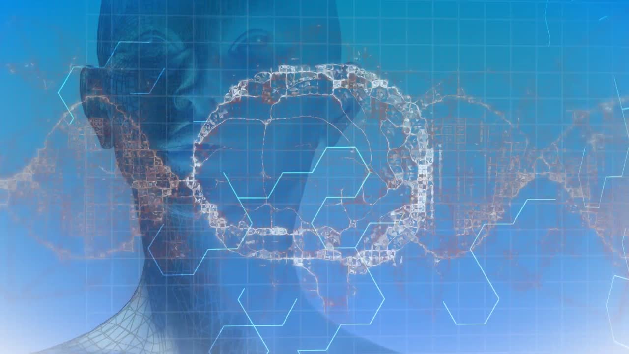 인간의 얼굴의 디지털 모델에 대한 뇌의 애니메이션