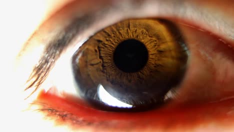 ojo macro 00