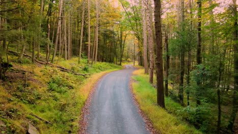 Drone-footage-of-a-beautiful-old-road-through-an-ancient,-magical-autumn-forest-with-beautiful-light-and-tall-trees-in-the-Appalachian-mountains