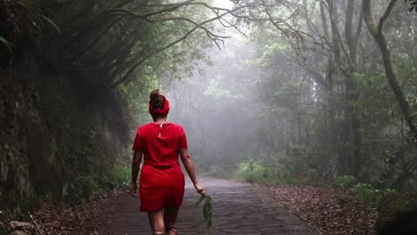 Eine-Junge-Attraktive-Frau-In-Einem-Roten-Kleid-Mit-Einem-Blatt-In-Der-Hand-Geht-Einen-Weg-In-Einem-Dunklen-Und-Bewachsenen-Wald-Hinunter,-Durch-Den-Sonnenlicht-Scheint---Statische-Aufnahme