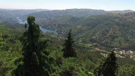 amazing river landscape behind the trees aerial view