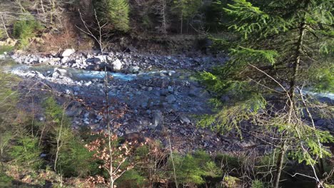 drone flying along forest with river in background