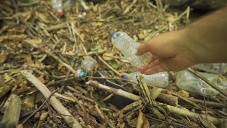 contaminación del medio ambiente, recogida de basura en el bosque.