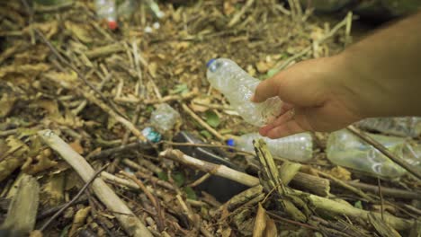 environmental pollution. garbage collection in the forest.