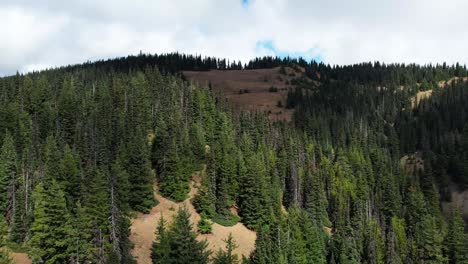 Impresionante-Vista-Aérea-De-Las-Montañas-En-El-Parque-Nacional-Olímpico,-Washington