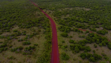 un dron se inclinó para revelar el camino de tierra roja en un bosque seco tropical durante un día nublado