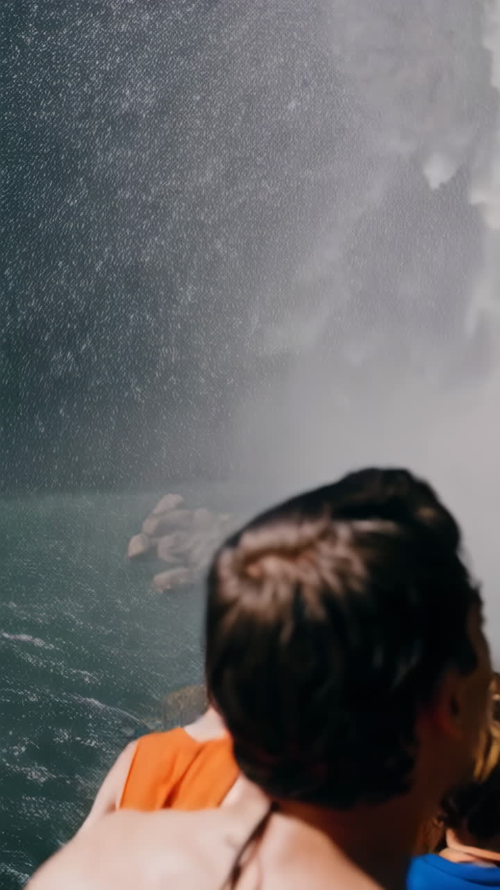 Waterfall Scene with Tourists