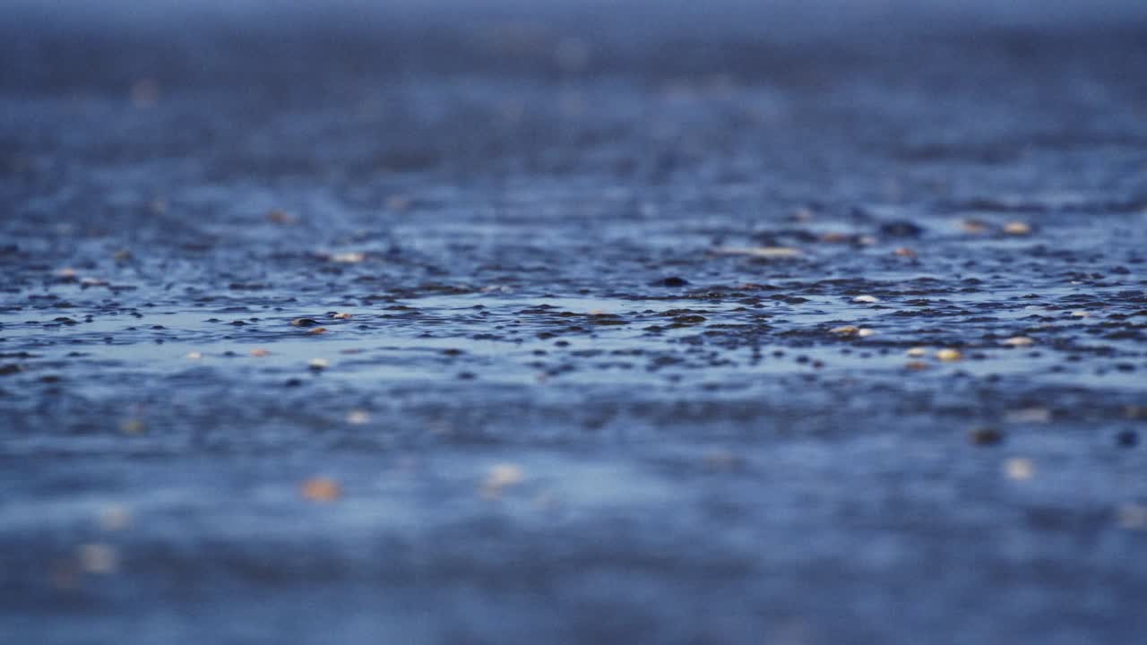Macro Shot of Wind blowing Water Ripples on Muddy Sand