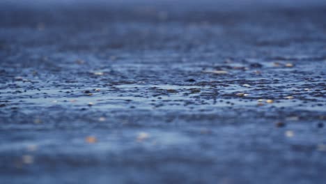 macro shot of wind blowing water ripples on muddy sand