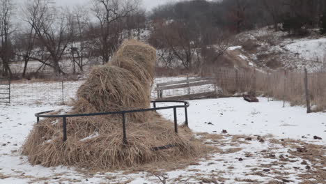 Hay Bale in a Snowy Field