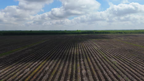 aerial drone descends to vast fertile land, deep brown soil ready for agriculture, stretching towards the horizon, cloud shadow crosses landscape