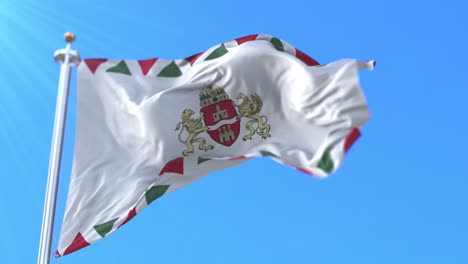 bandera de budapest, ciudad capital de hungría. bucle