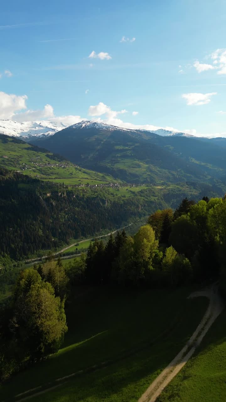 Obersaxen Switzerland Swiss Alps nature outdoor evergreen forest, aerial drone