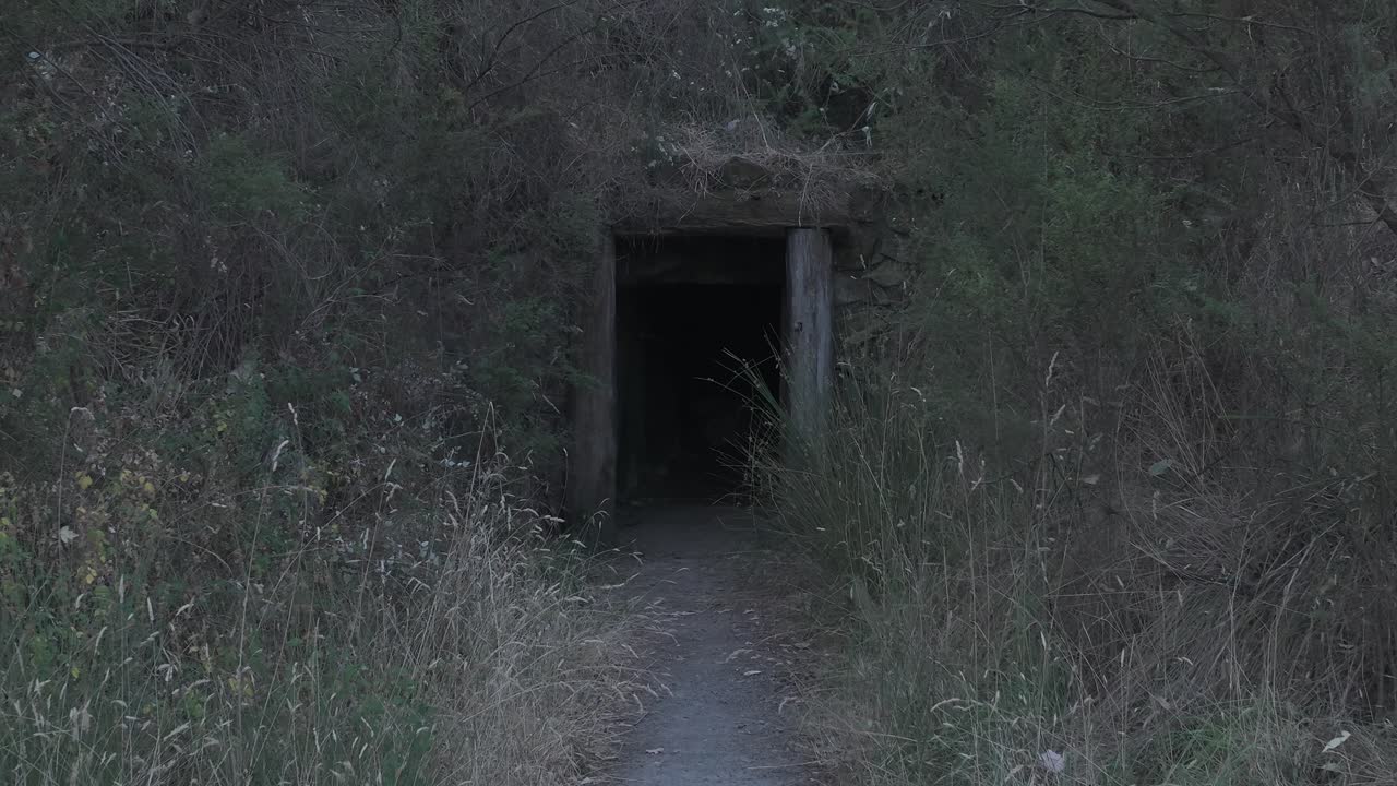 Explore a misteriosa entrada de um túnel de mineração no Parque Warrandyte ao entardecer. A fraca luz noturna cria uma cena enigmática e atmosférica, perfeita para intriga.
