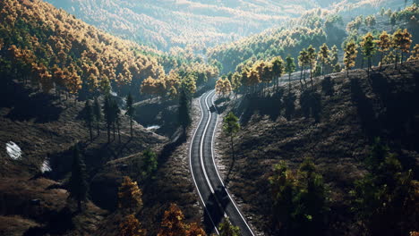 árboles-Amarillos-Y-Verdes-En-El-Bosque-De-Otoño