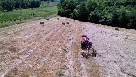 Hay-Raked-on-Farm-in-Ashe-County-NC,-Ashe-County-North-Carolina-near-West-Jefferson-NC,-West-Jefferson-North-Carolina