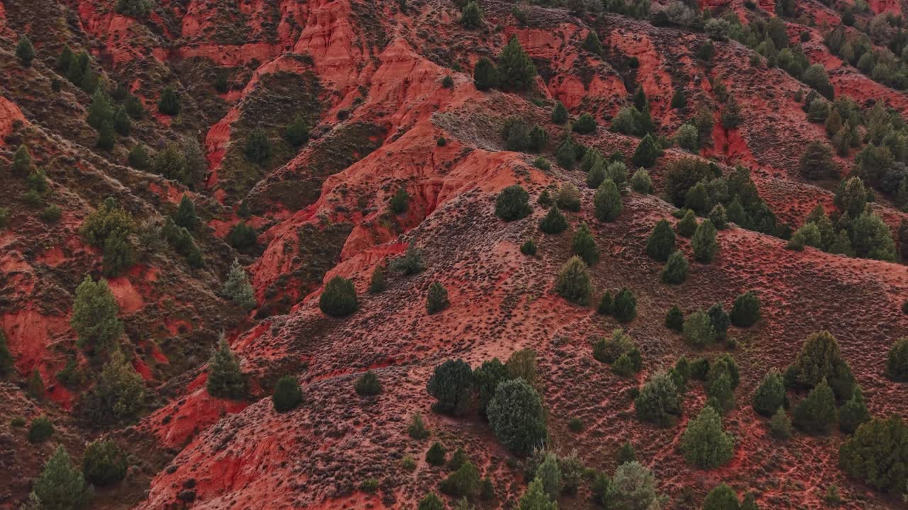 Red hills with green trees in Spain show nature's beauty