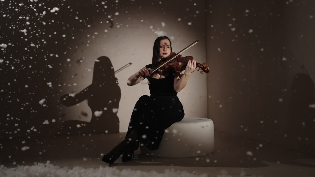 겨울 장면 에서 바이올린 을 연주 하는 여자
