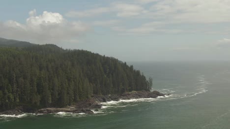 美麗的空中風景 晴朗的夏天在溫哥華島南部的岩石太平洋海岸