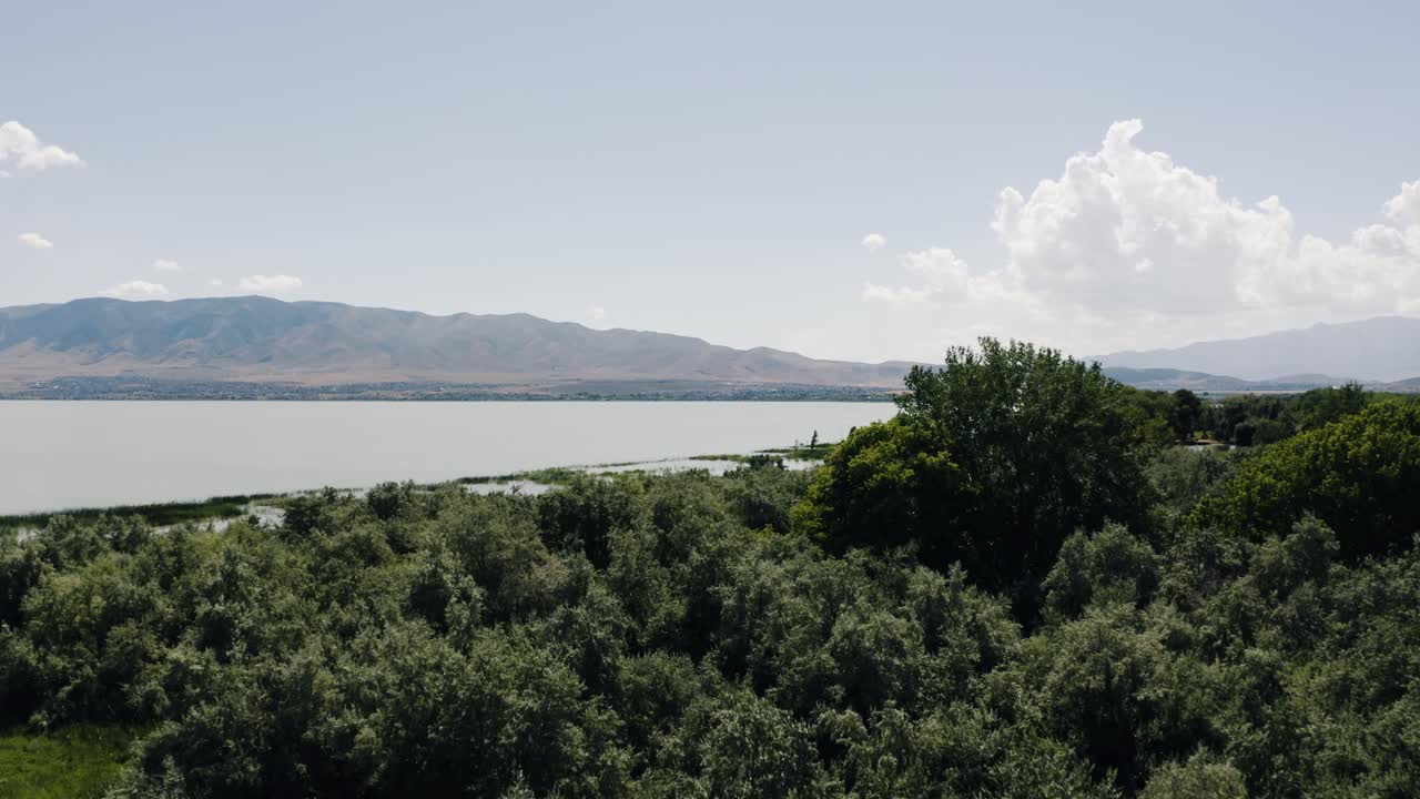 tomada de un dron de la costa del lago utah llena de árboles en un día soleado