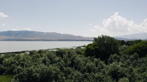 Drone-shot-of-Utah-Lake's-shoreline-filled-with-trees-on-a-sunny-day