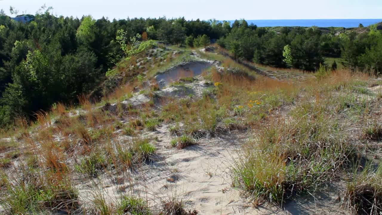 Breathtaking view of Indiana Dunes National Park with rolling dunes and lush forests under clear blue sky. Sunlit terrain highlights natural beauty in serene landscape without any people