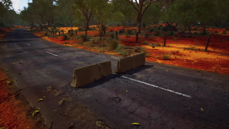 camino desolado en el interior de australia