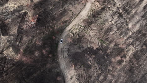 aerial top shot of a car through dusty road in burned forest area