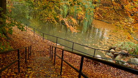 autumn leafs on the park stairs