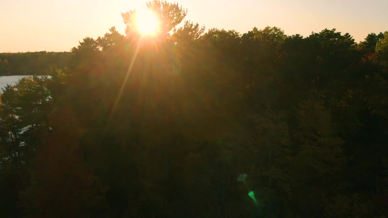 Golden Hour Sun Rays Over Lush Forest and Calm Lake