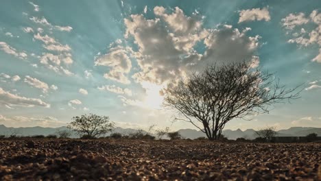 en el desierto los hombres cambian y las puestas de sol renuevan a la gente.
