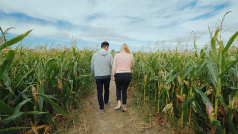 young multiethnic couple walks through the corn maze fairgrounds and fun at halloween in the usa