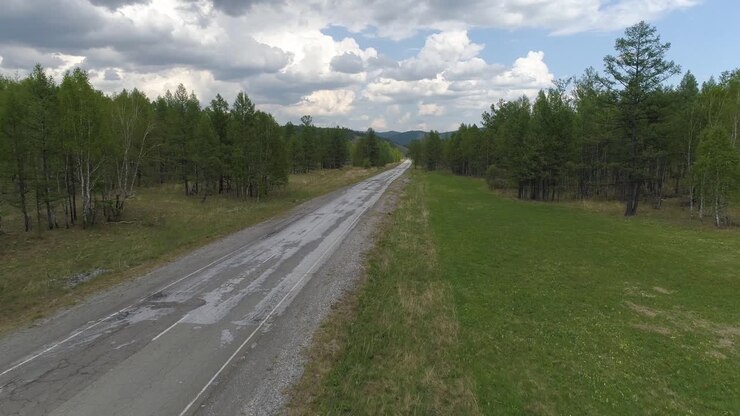 Viaggio nella foresta siberiana